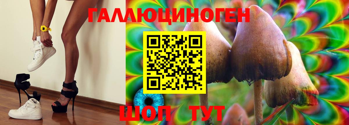 как найти закладки  Галлюциногенные грибы GOLDEN TEACHER  Вход с VPN  Галлюциногенные грибы Psilocybine cubensis  Уссурийск 